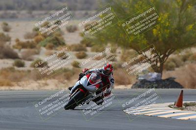 media/Apr-10-2022-SoCal Trackdays (Sun) [[f104b12566]]/Turn 5 Tree of Life (1040am)/